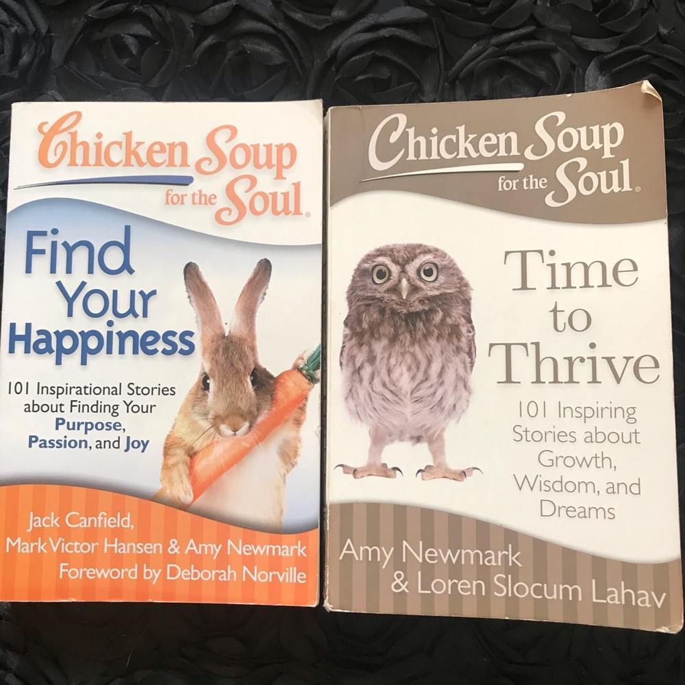 Book bundle of 2 - Chicken Soup For The Soul